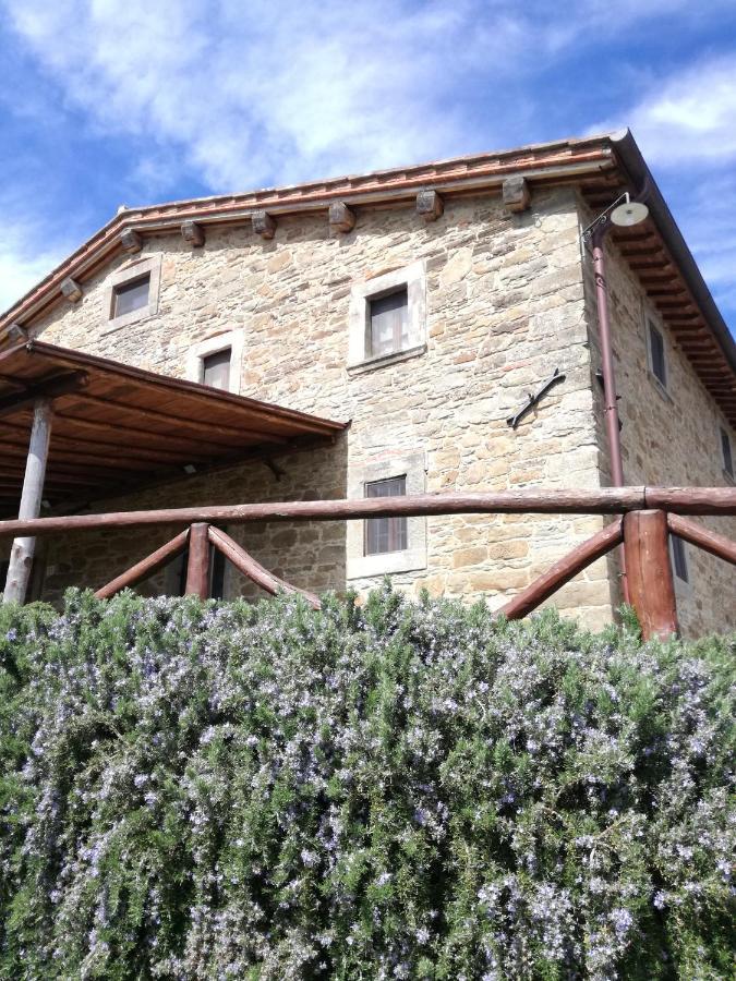 Del Viandante - Valle & Pool Anghiari
