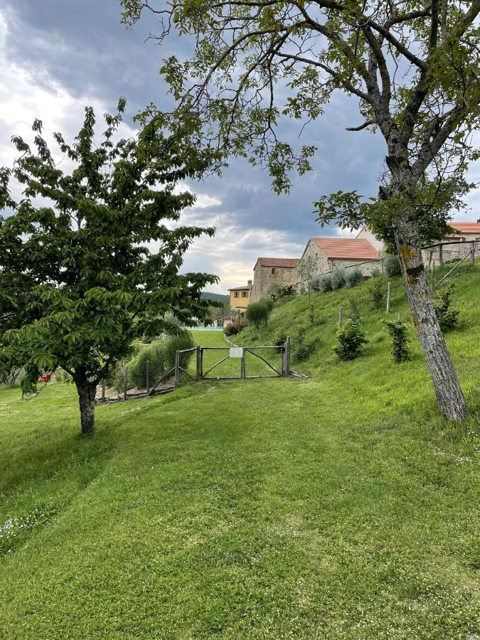 Del Viandante - Valle & Pool * Anghiari