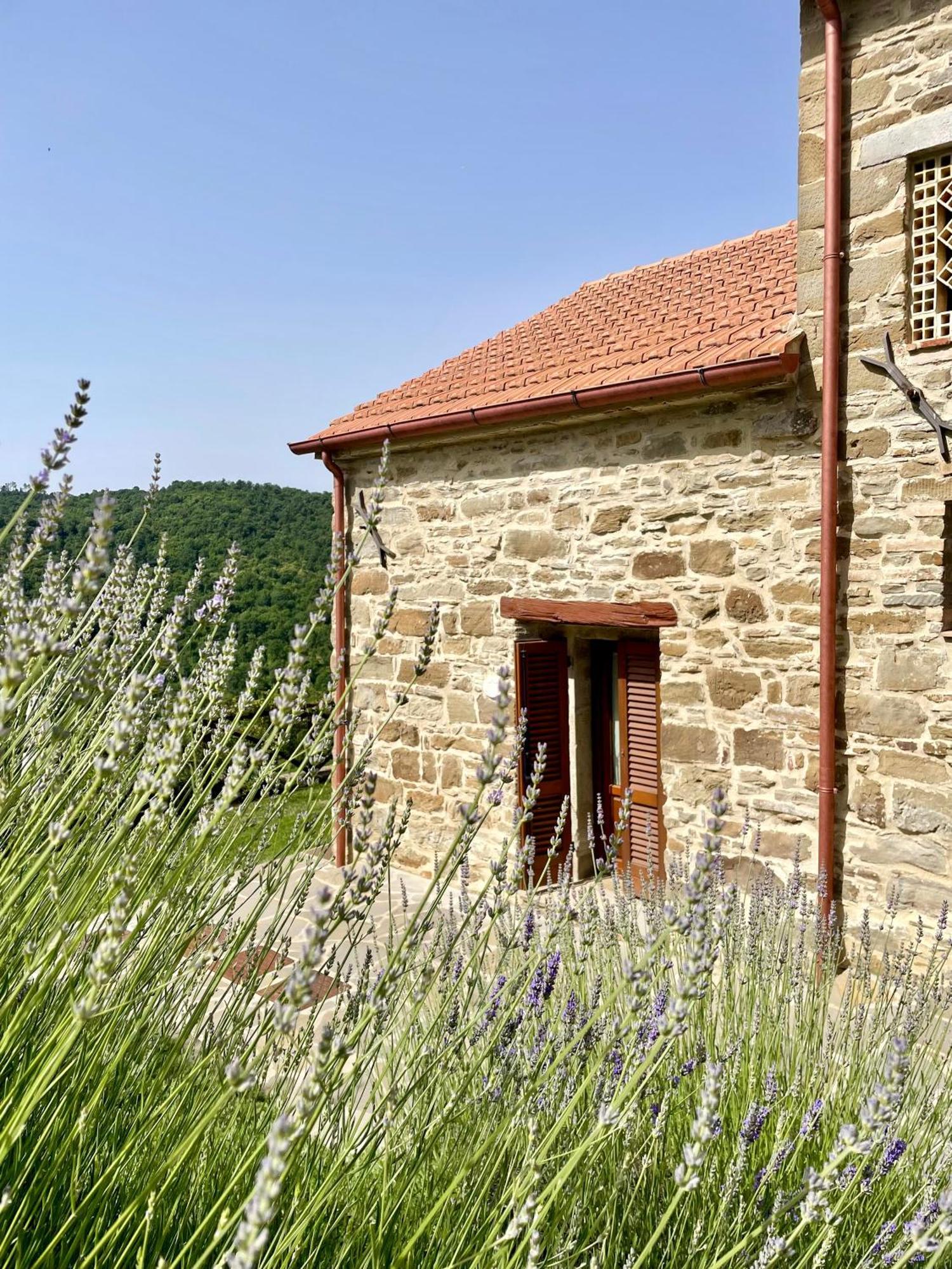 Apartment Del Viandante - Valle & Pool